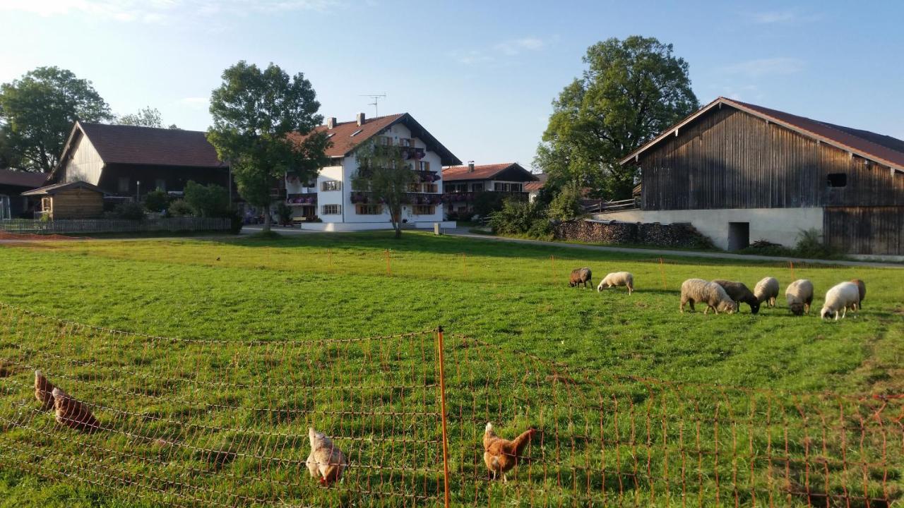 Woidhauserhof Waakirchen Eksteriør billede